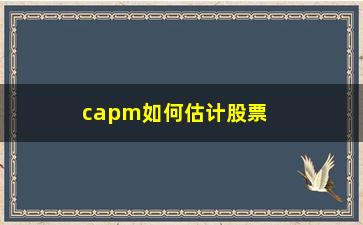 “capm如何估计股票价格